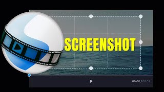 How to Take a Screenshot in Openshot ✅ [upl. by Lundin494]