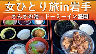 【女ひとり旅in岩手】何食べても美味しい！雪の舞う中尊寺金色堂から盛岡へ、ホルモン・冷麺・ジャージャー麺など岩手グルメに舌鼓♪【冬の東北旅・前編】 [upl. by Ecilayram1]