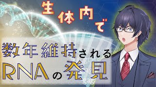 【生命科学ニュース】生体内で数年維持されるRNAの発見 [upl. by Drofnil]