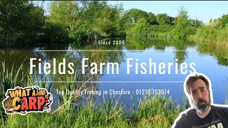 FIELD FARM FISHERIES  SANDBACH  CREWE [upl. by Aerdnu]