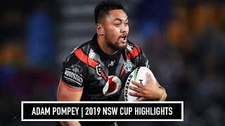 Adam Pompey  2019  NSW Cup Highlights [upl. by Enair581]