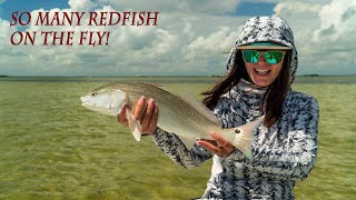 So Many Redfish on the Fly [upl. by Andrade68]