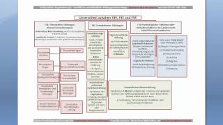 Übersicht Dissoziative und Somatoforme Störungen für die Heilpraktikerprüfung [upl. by Ramonda]