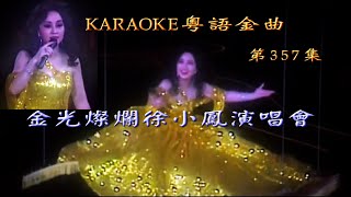 KARAOKE粵語流行曲精選金曲之金光燦爛徐小鳳演唱會89完場 有人聲及歌詞字幕 Cantonese Pops with Lyrics Paula Tsui in Concert 89 [upl. by Arnoldo75]