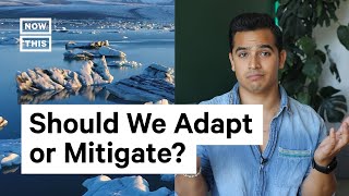 Adaptation vs Mitigation Climate Change Solutions [upl. by Llertrac]