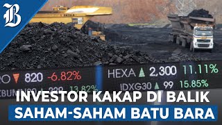 Emiten Batu Bara Menguat Efek Rebound Harga Batu Bara [upl. by Missak31]