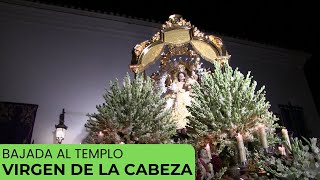 12 Procesión VIRGEN DE LA CABEZA BAJADA  🎵 San Isidro de Armilla [upl. by Ahtnammas481]