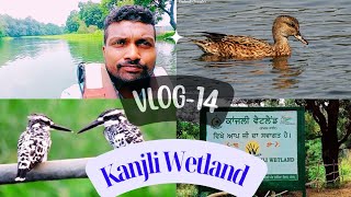 Vlog14  Kanjli Wetland  Kapurthala  Sunday School Hosanna Masihi Kalisiya vlog wetland [upl. by Ricky]