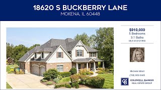 18620 S Buckberry Lane Mokena Illinois Homes for Sale  wwwcoldwellhomescom [upl. by Aerdnwahs939]