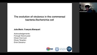 The evolution of virulence in the commensal bacteria Escherichia coli [upl. by Hpejsoj]