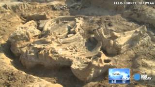 Prehistoric mammoth unearthed in Texas [upl. by Ahsatak]