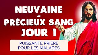 🙏 NEUVAINE au PRÉCIEUX SANG Jour 1 🩸 Puissante Prière pour les Malades [upl. by Ayojal]