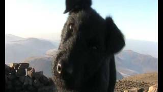 Mitz the Famous Fell Running Patterdale [upl. by Cristabel]