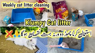 Weekly cat litter cleaning 🧼  How to Train a Cat to use Toilet 🚽  2024  Cat Toilet Training [upl. by Blandina]