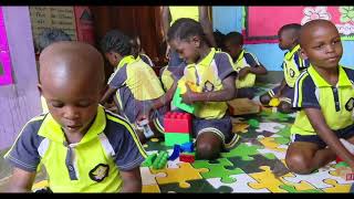 Report calls for free preprimary education amid low enrollment [upl. by Uah349]