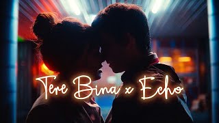 Tere Bina x Echo ACV Mashup  Armaan Malik Jonita Gandhi KSHMR Zaeden  Otis and Maeve [upl. by Bergh476]