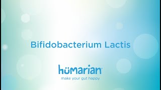 Bifidobacterium Lactis [upl. by Swarts]