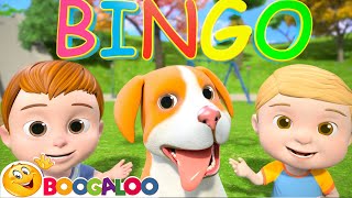 Bingo amp Nursery Rhymes on YouTube  Best Learning videos for toddler [upl. by Hau254]