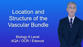 A Level Biology quotThe Location and Structure of the Vascular Bundlequot [upl. by Enovad67]