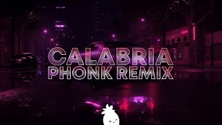 Rune RK  Calabria Phonk Remix [upl. by Yvor132]