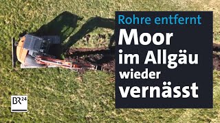 Natur und Klimaschutz Allgäuer Moore werden wieder vernässt  Abendschau  BR24 [upl. by Leary339]