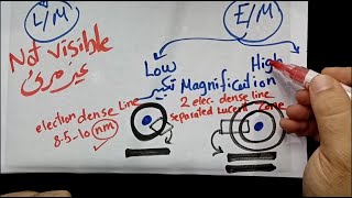 Histological structure of Cell membrane part 1 by Dr Mohamed Elabshity [upl. by Francie788]