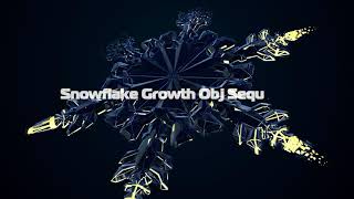 Snowflake Growth Animated 3d Model [upl. by Apostles]