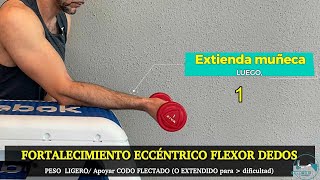 Codo ejercicio epitrocleitis 06 Fortalecimiento concéntrico y eccéntrico flexopronadores resumen [upl. by Jobye]