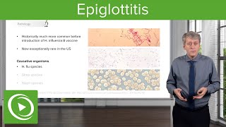 Infections of the Upper Pediatric Airway Epiglottitis – Pediatric Infectious Diseases  Lecturio [upl. by Johiah]