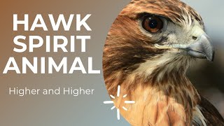 Hawk Spirit Animal  Hawk Spiritual Meaning hawkspiritanimal hawkspiritualmeaning hawksymbolism [upl. by Yanad]