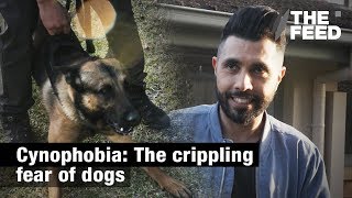 Cynophobia The crippling fear of dogs [upl. by Zigrang]