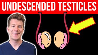 Doctor explains UNDESCENDED TESTICLES  Causes symptoms treatment [upl. by Michele575]