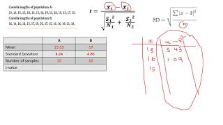 Chapter 172 How to do the ttest [upl. by Ahsekam919]