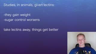 Paul Mason 1 DIABETICS type 1 amp 2 can benefit from avoiding lectins along with low carb eating [upl. by Akimal]