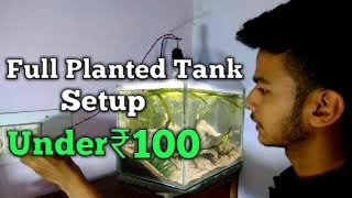 Full Planted tank setup under ₹100 [upl. by Hgielrebma778]