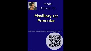 How to answer best for the question on morphology of maxillary first premolar [upl. by Lila637]