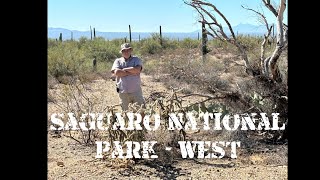 Saguaro national Park West ￼ [upl. by Elleinnod]