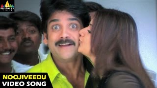 Nenunnanu Songs  Noojiveedu Kellina Video Song  Nagarjuna Aarti Shriya  Sri Balaji Video [upl. by Eloc]