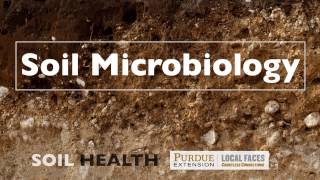 Soil Basics Soil Microbiology [upl. by Oicirtap]