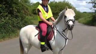 Riding Schools  Normanby Park Riding School [upl. by Vasiliu]