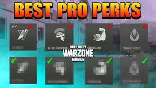 TOP PERK AND BEST CLASS IN WARZONE MOBILEWZM BEST PERKS AND CLASS [upl. by Hendry]