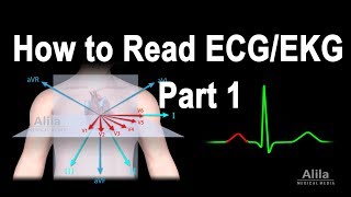 How to Read ECGEKG Part 1 Animation [upl. by Htir605]