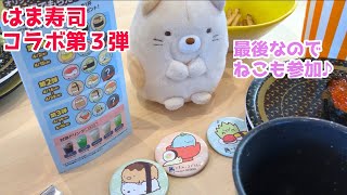 はま寿司 すみっコぐらし 缶バッチ開封結果！ コラボ第３弾 角落生物 いちごキッズちゃんねる sumikkogurashi sushi [upl. by Arther]