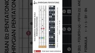 C Phrygian pentatonic scale On Bass chamisbass basslessons [upl. by Granniah]