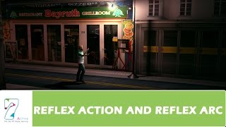 REFLEX ACTION AND REFLEX ARCPART 01 [upl. by Neivad]