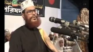 Bangla Jahannamer Voyabahota by Allama Delwar Hussain Sayeedi [upl. by Remos]