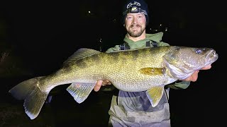 HUGE WALLEYE Breaks 7 State Records New PB [upl. by Namreh]