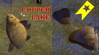 Trophy Spot Tench Copper Lake  Russian Fishing 4 carpfishing carp [upl. by Auhsuoj]