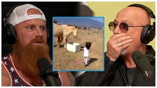 Ginger Billy and Howie Mandel React to The Internets Wildest Videos [upl. by Nylodam]