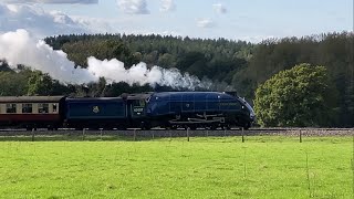 60007 Sir Nigel Gresley at the Giants of Steam Gala on The Bluebell Railway  111024 [upl. by Maynard]